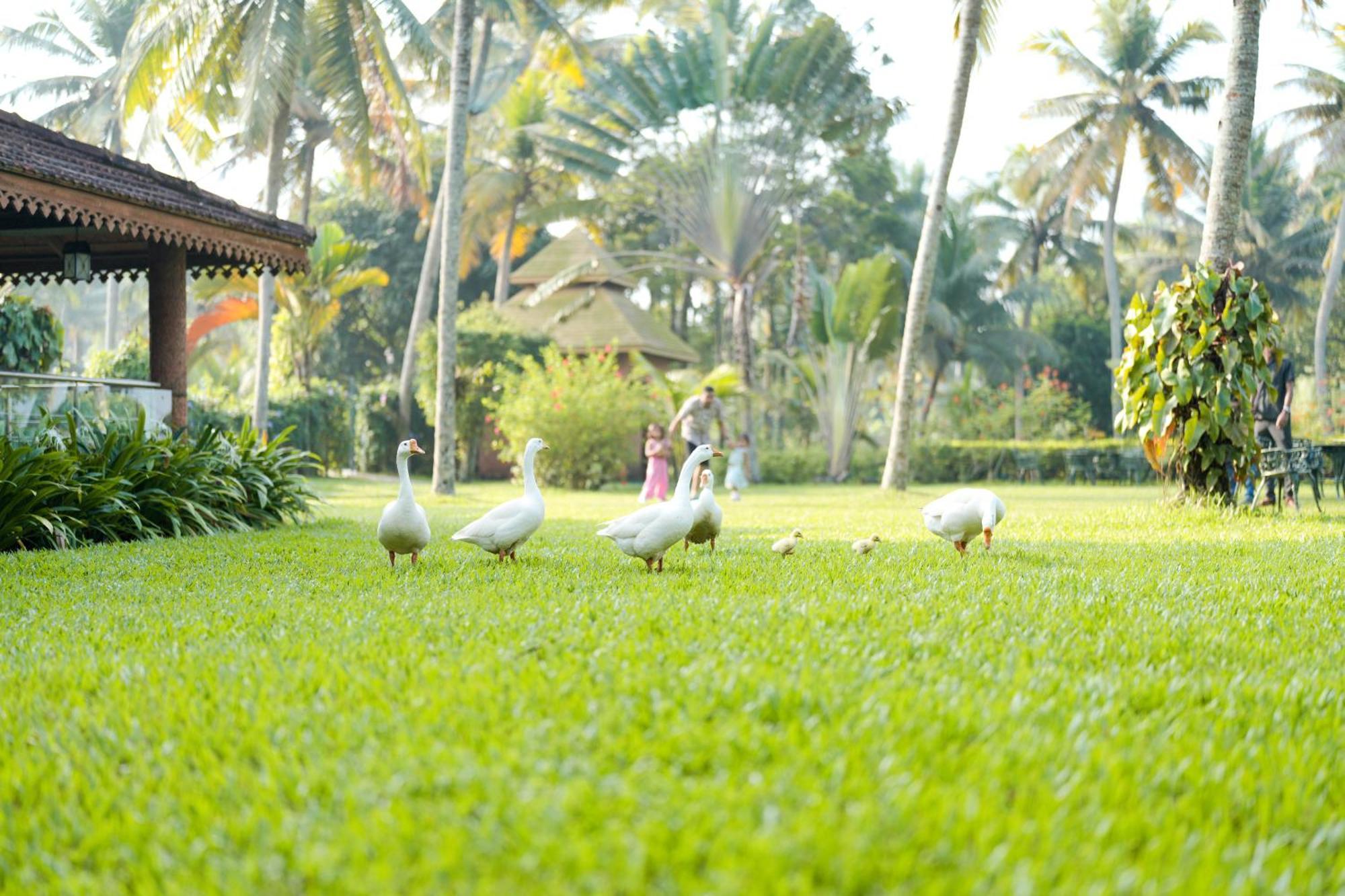 Lakesong Resort Kumarakom Exterior foto
